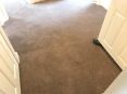 Review Image 2 for Acorn Carpet Cleaning by Glen