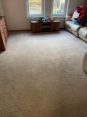 Review Image 2 for Dullanview Carpet & Upholstery Cleaning by Sean Austin