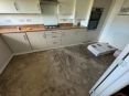 Review Image 2 for Brian Ford Tiling by Chris & Sarah
