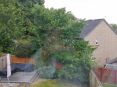 Review Image 1 for Ogilvie Hayes Tree and Garden Services by Gemma
