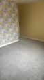 Review Image 1 for David Gordon Carpet And Vinyl Fitter by Jess