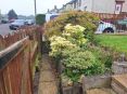 Review Image 1 for Ravenswood Building Services Ltd