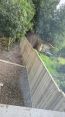 Review Image 1 for ASC Fencing Limited by Richard Balls