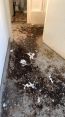 Review Image 1 for Porter and Cairns Cleaning Services