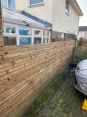 Review Image 4 for Rose Landscaping by Primrose Roney
