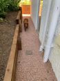 Review Image 2 for Mitchell Landscaping and Ground Care Ltd by Sue Whatmore