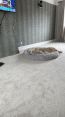 Review Image 1 for David Gordon Carpet And Vinyl Fitter by Mags Boyle