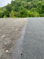 Review Image 2 for L & E Roofing Contractors by Paul Barbier
