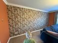 Review Image 1 for Ross Logan Painter & Decorator by Sarah Wardlaw