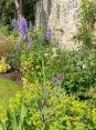 Review Image 1 for Spruce Garden Services