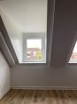 Review Image 1 for Durashield Windows by LAURA TURNER