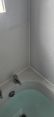 Review Image 2 for Silicone Sealant Solutions by Louise Currie