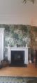 Review Image 1 for Ace Finish Decorators by Samantha Lamond