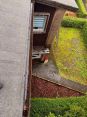 Review Image 1 for Rooftechcare Ltd by Stephanie