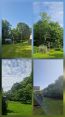 Review Image 1 for Forres Tree Services Ltd by J.R Cromarty
