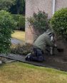 Review Image 1 for Wee Critters Pest Control Services Limited by Susan Duff