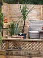 Review Image 2 for Blaikie Tree Services Ltd by Jayne