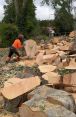 Review Image 1 for Forres Tree Services Ltd
