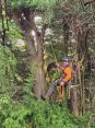 Review Image 1 for Epic Tree Care by Dr John Todd