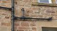 Review Image 1 for Edinburgh Height Maintenance Ltd by Austin Diamond