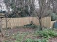 Review Image 1 for ASC Fencing Limited