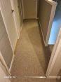 Review Image 3 for David Gordon Carpet And Vinyl Fitter by Caroline Lillie