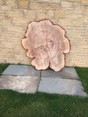 Review Image 1 for 247 Tree Surgery Ltd t/a Kingdom Sawmill Co by David Mercer