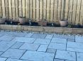 Review Image 1 for Halley Garden Services by Sheila Wilson