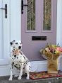 Review Image 1 for Cairnview Windows & Doors Ltd by Jodie