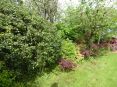 Review Image 3 for Murdoch Wood Ltd by Nick Croan
