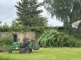 Review Image 1 for Norrie Sloan Tree Services by Jamie