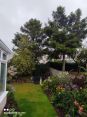 Review Image 1 for MP Tree Services