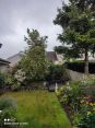 Review Image 2 for MP Tree Services