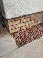 Review Image 1 for Whelan Builders