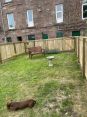 Review Image 2 for Clark Drystone Walling & Fencing by Alison Mowatt
