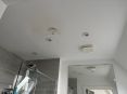 Review Image 1 for Acorn Services (Edinburgh) Limited