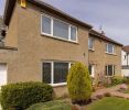Review Image 1 for Recommended Decorators