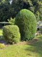Review Image 1 for Wyvis Tree Services Ltd by Caroline Walton