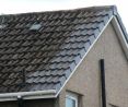 Review Image 1 for Taylor Roofs by Andrew