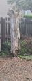 Review Image 1 for MP Tree Services by Mac