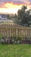 Review Image 1 for Epic Tree Care by Mr Ivan McPherson