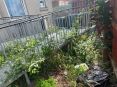 Review Image 1 for P1 Solutions Ltd by Karen Ramsay