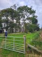 Review Image 1 for Aye Trees by Gareth Hicks