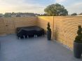 Review Image 1 for LCL Landscaping & Groundcare by Martin Doyle