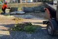 Review Image 2 for Arb-Tech Tree Surgery