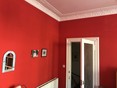 Review Image 1 for Alldonedecor by Liz Taylor