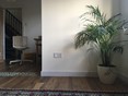 Review Image 1 for Keith Wood Painter and decorator by Elise Hill